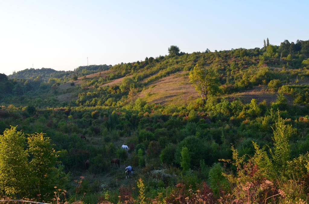 Apartments Fairy Land Rakovica Luaran gambar
