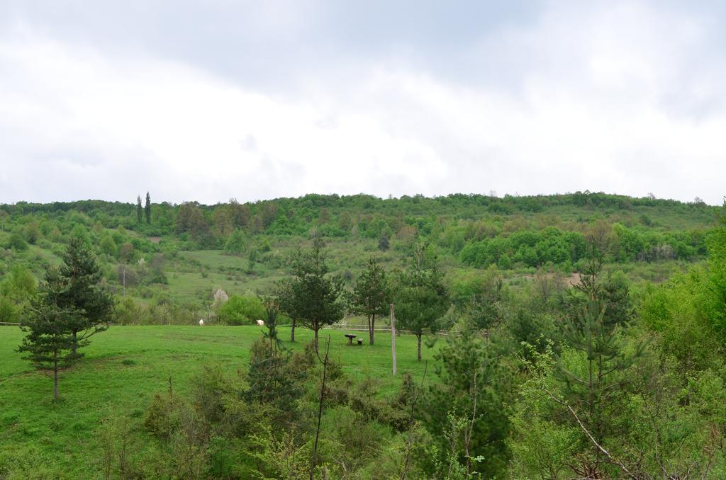 Apartments Fairy Land Rakovica Luaran gambar