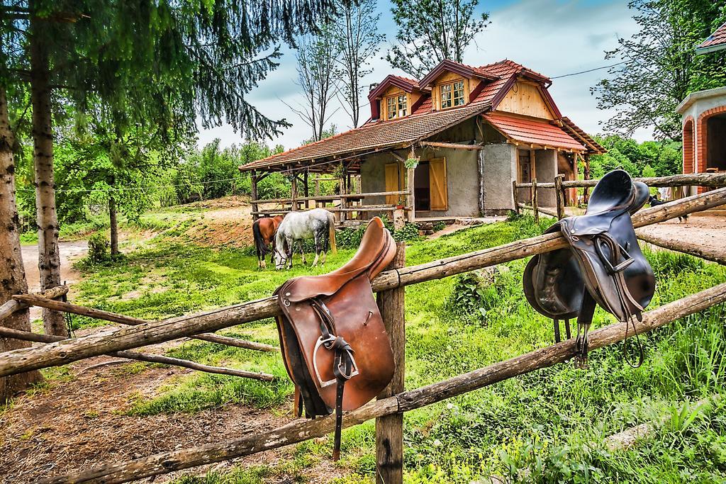 Apartments Fairy Land Rakovica Luaran gambar