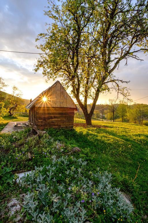 Apartments Fairy Land Rakovica Luaran gambar