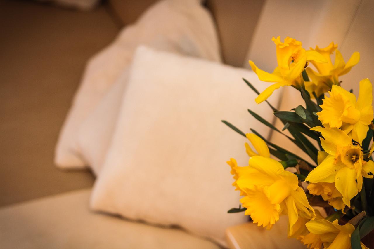 Apartments Fairy Land Rakovica Luaran gambar